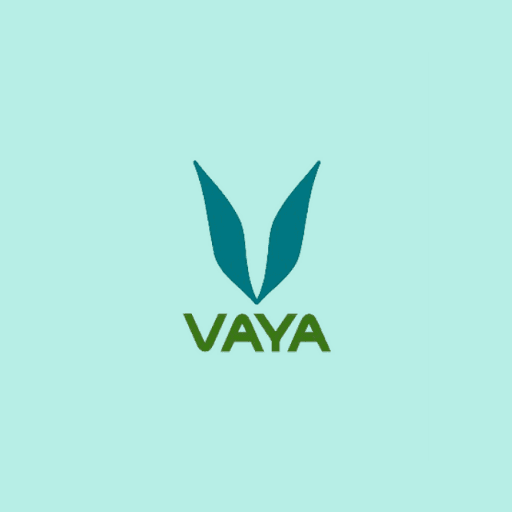 Vaya Gift Voucher gift card